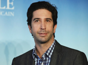 1029218-davidschwimmer-1453029658-400x230.jpg