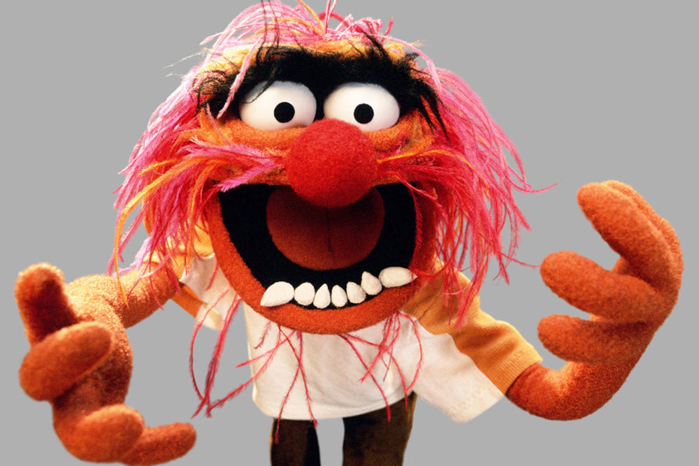 150921-news-the-muppets-animal.jpg