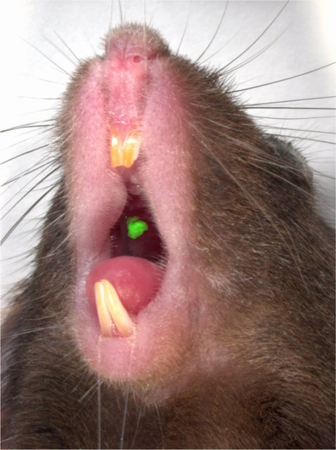1612814387029.png