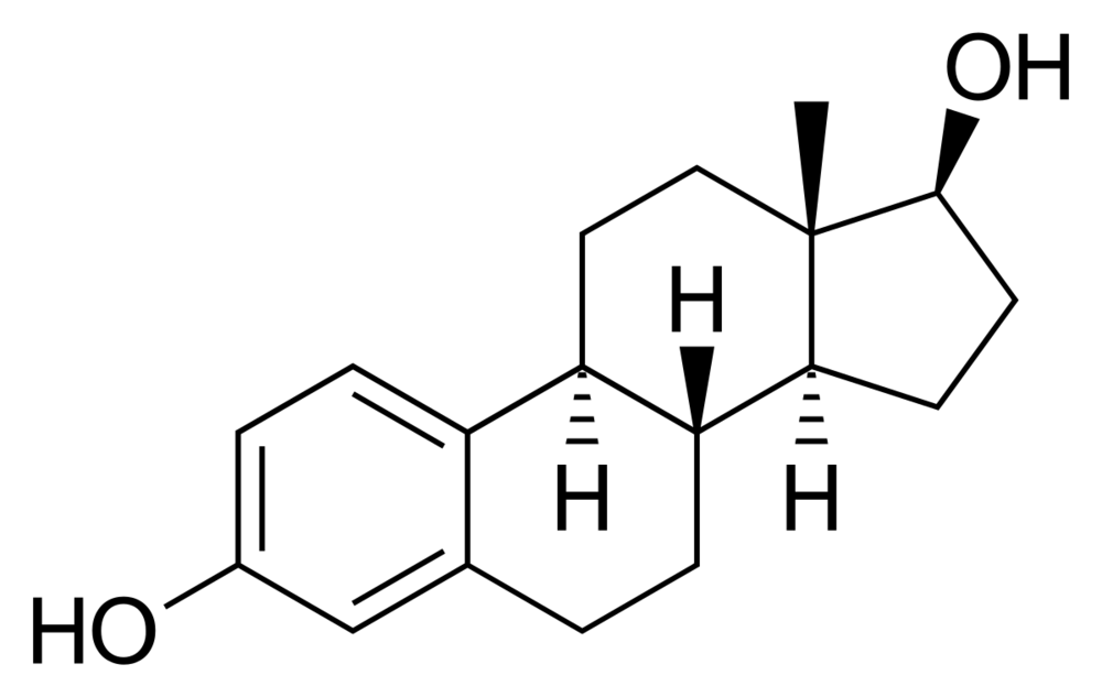 1615593138969.png