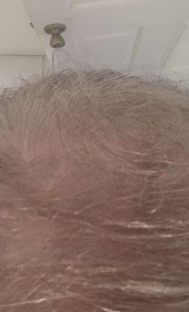20260504_133434.jpg