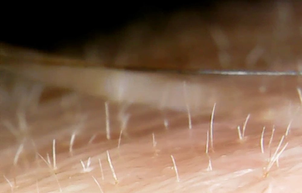 4D529400-09E4-47F0-B352-7DDE22C8CAC9.jpeg