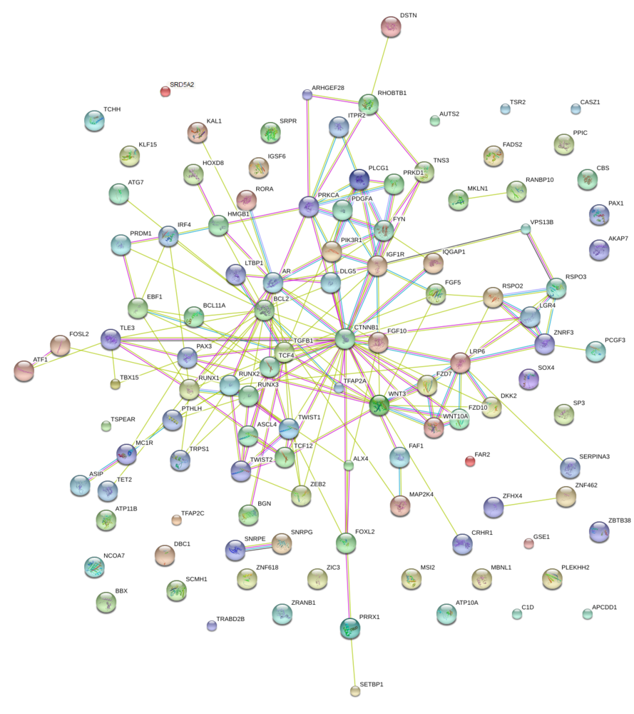 aga_combined_stringdb.png
