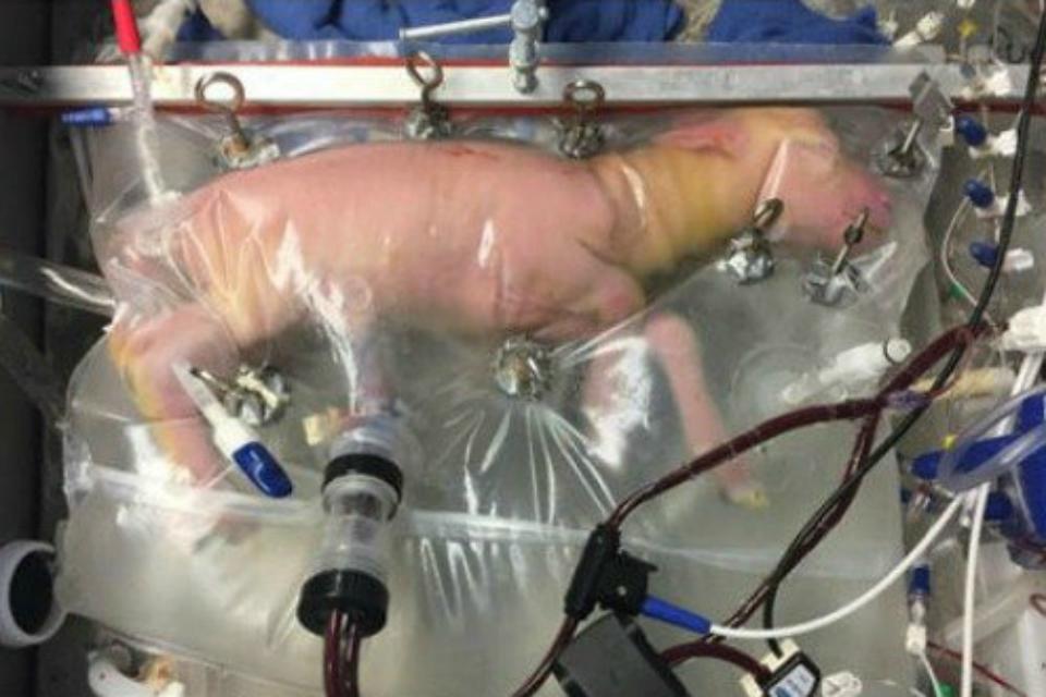 artificialwomb.jpg