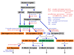 Без названия.png