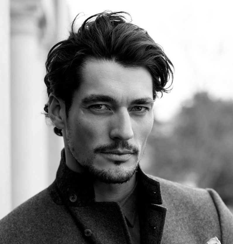 Biografie-David-Gandy.jpg