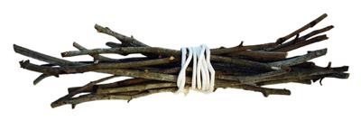 bundle-of-sticks2.jpg