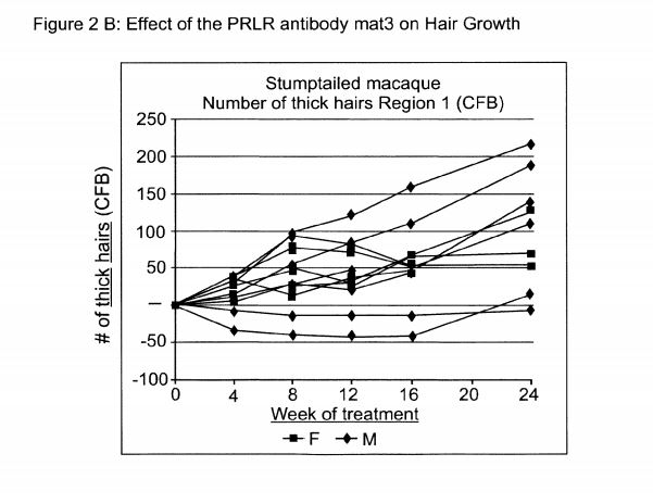 figure2.JPG