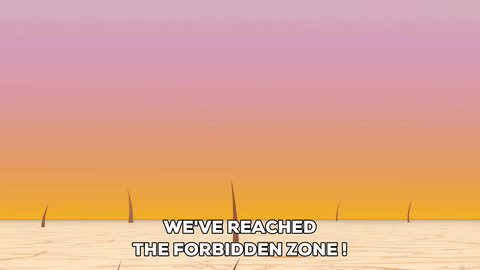 giphy.gif