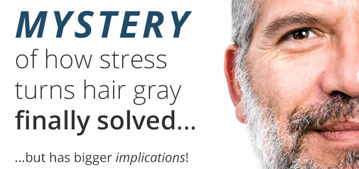 greco_mystery-of-how-stress-turns-hair-gray-finally-solved.jpg