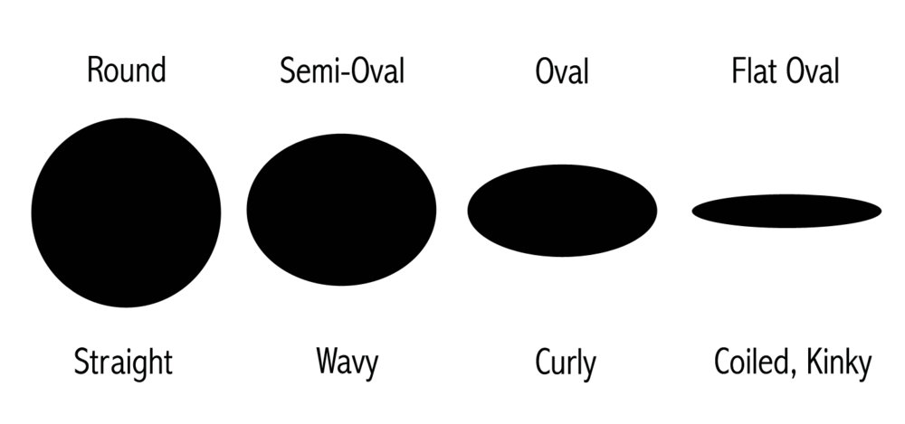 Hair-Follicles.jpg