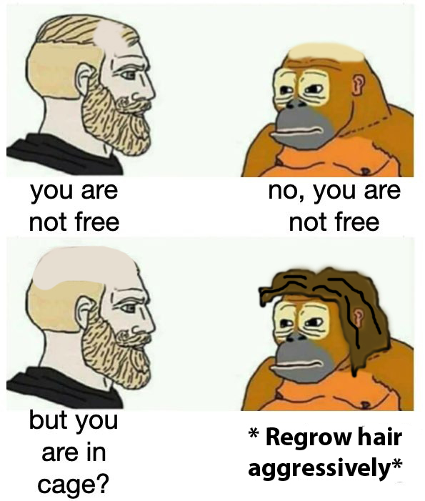 Hair.jpg