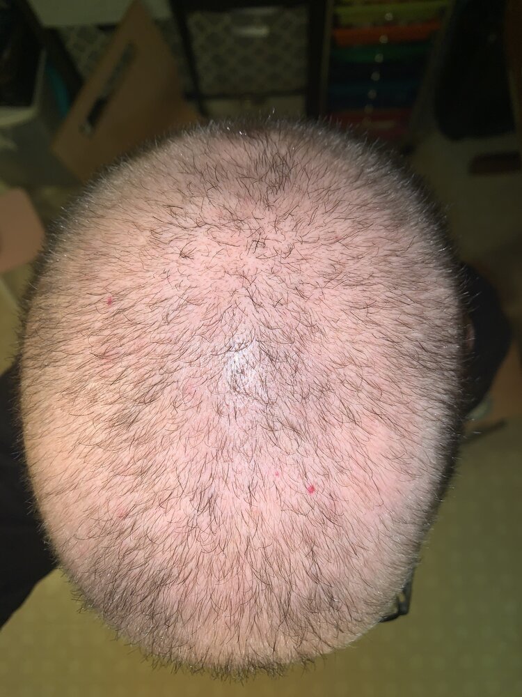 image.jpg