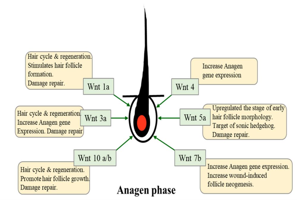 Image12.thumb.png.210d7dd235394be423b1dad94562027b.png
