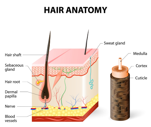 Image3.png.ea09a69047d43bb079ca3e44c1997cf5.png