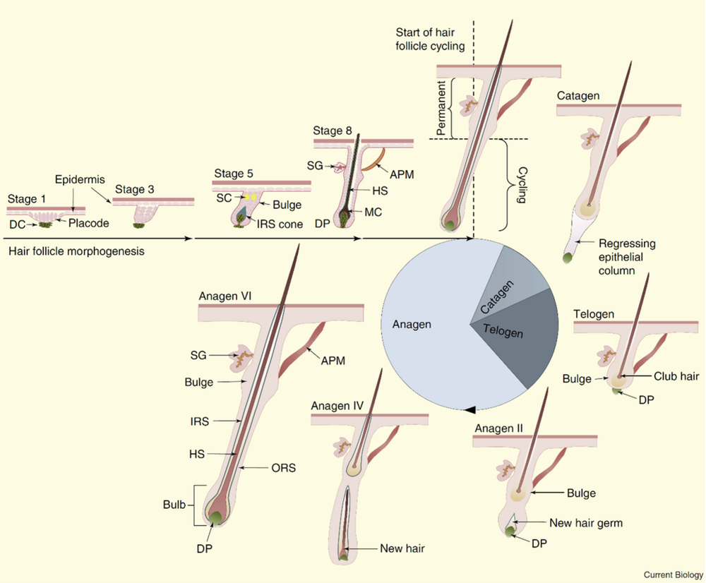 Image7.thumb.png.7cfa7cc67e96679792598c4abc99bd0e.png