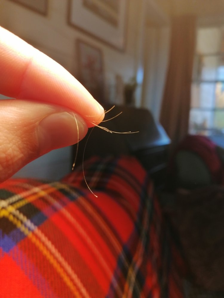 IMG_20190526_155157 (1).jpg