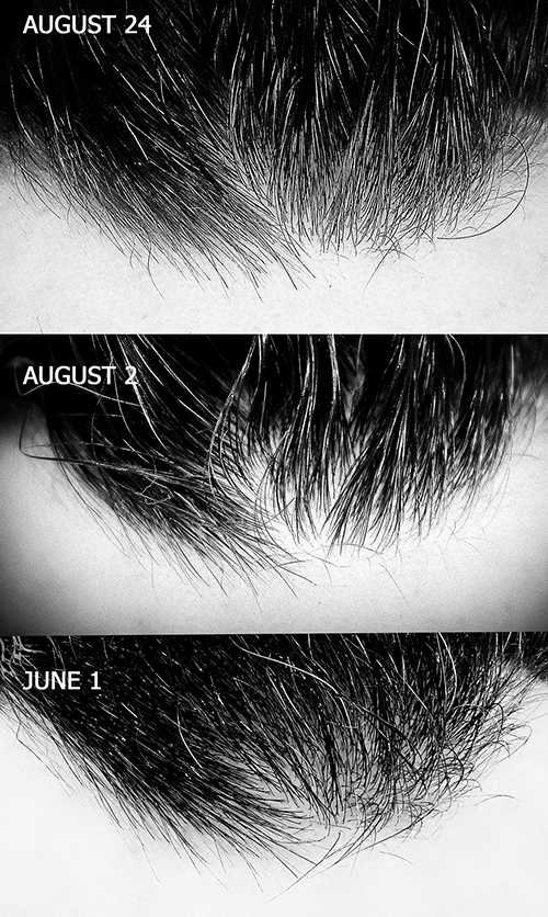 June - August1 resized.jpg