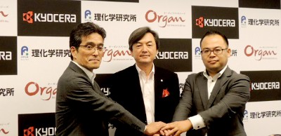 Kyocera-Tsuji-Organ-Hair.jpg