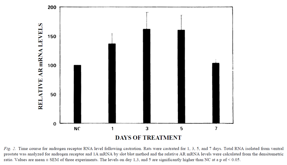 mrna castration androgen receptor.png
