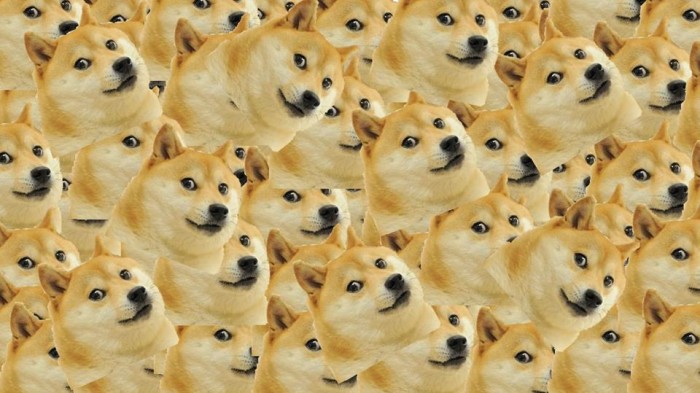 muchdoge-700x393.jpg