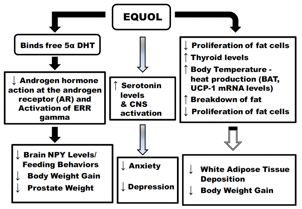 nutritionalhealth-foodscience77-g003-gif.gif