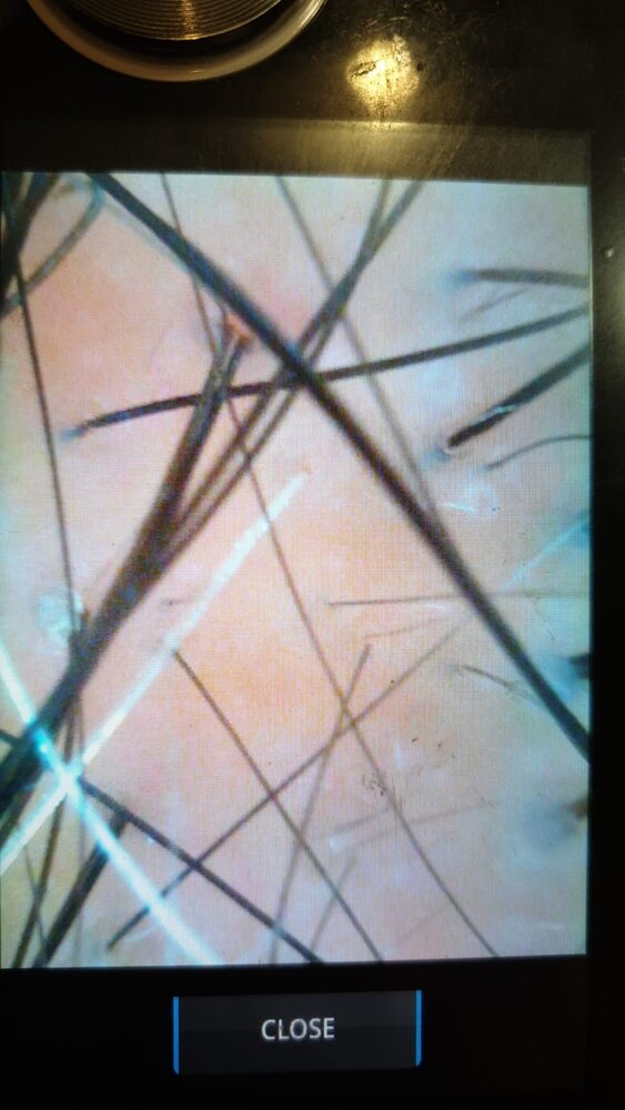 Photo May 09, 18 48 05 (2).jpg