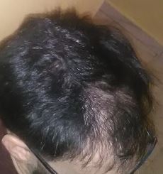 pic2.JPG