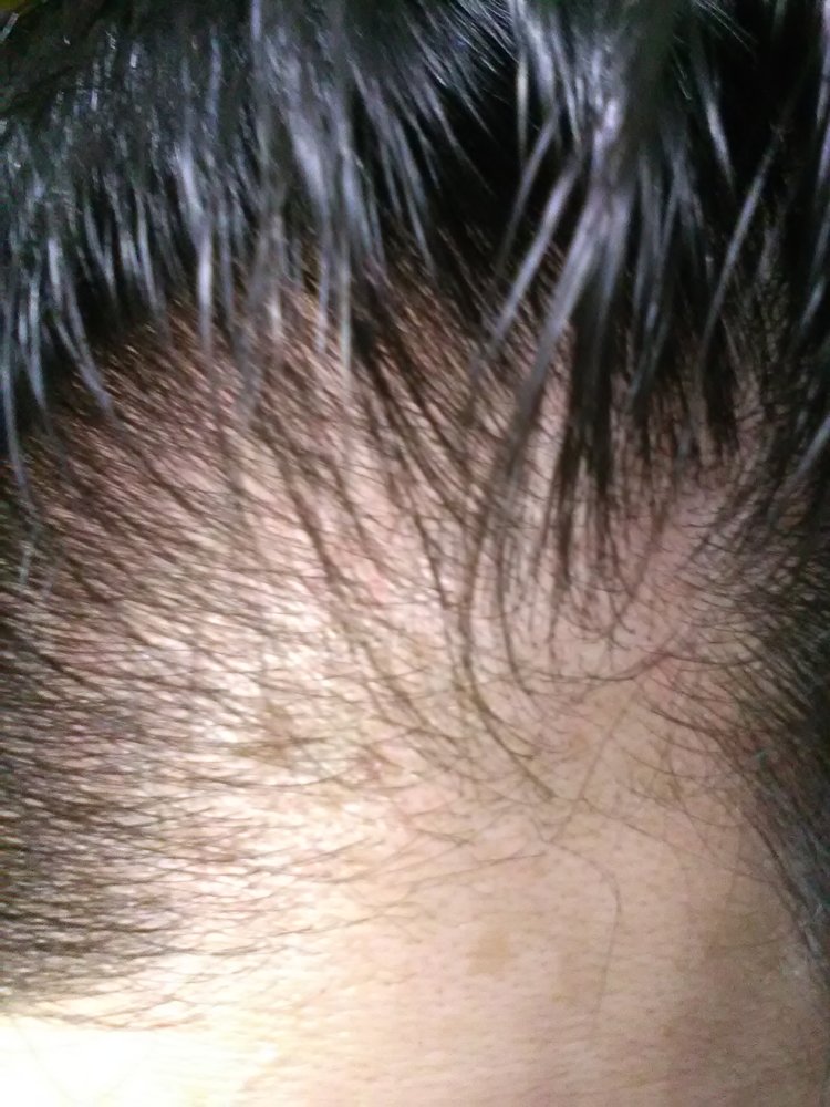 pic6.jpg