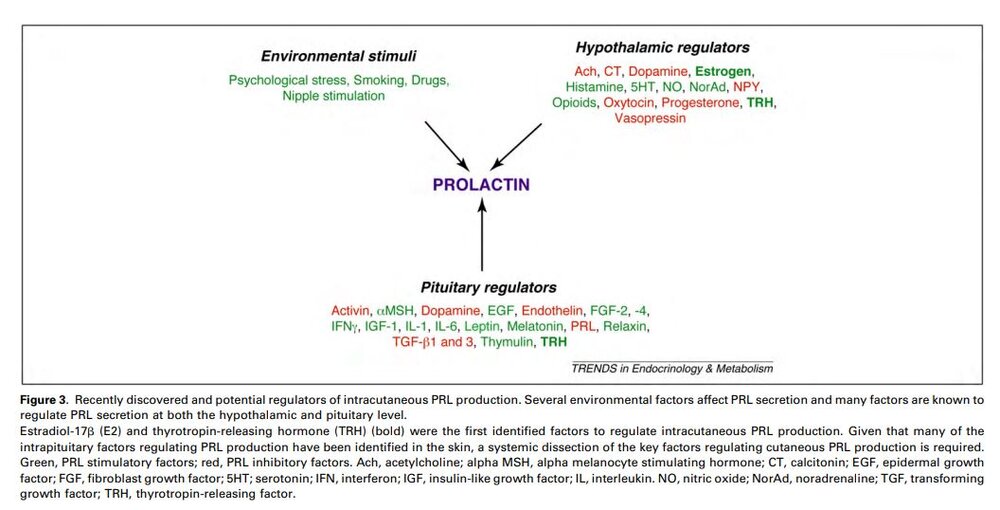 prlregulation.JPG