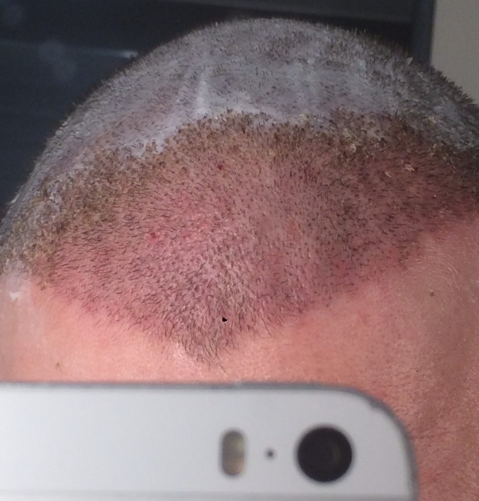 Screen Shot 2019-02-22 at 7.37.35 PM.png