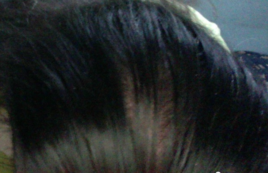 Screen Shot 2021-06-08 at 5.51.35 AM.png