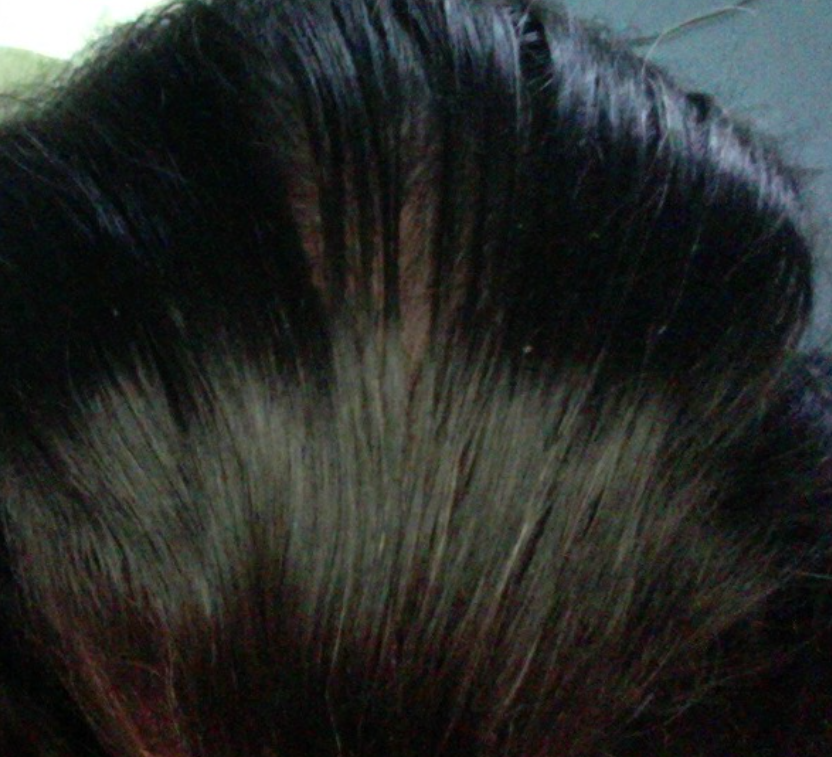 Screen Shot 2021-06-08 at 5.51.45 AM.png