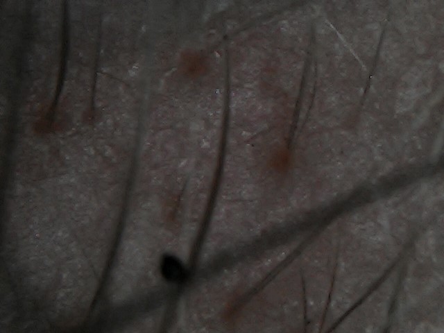 WIN_20200908_19_10_16_Pro.jpg