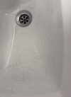 IMG_8219.jpeg
