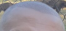 IMG_1649.jpeg