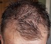 front-wet.jpg