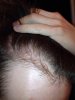 HAIR 3.jpg