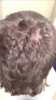 hair1.png
