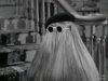 Cousin Itt images.jpg