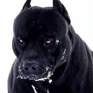 DiffuseThinningHound