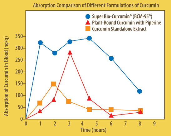 oct2007_report_curcumin_02b.jpg