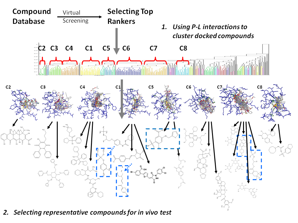 Wiki_Clustering.png