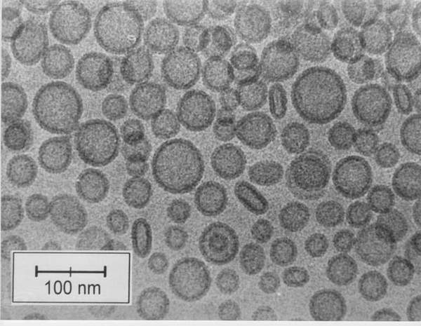 pc_liposome_cryo_scientia2.jpg