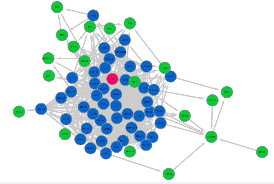 static_network.png