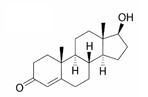 test_structure.png