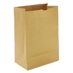 brown-paper-bag-250x250.png