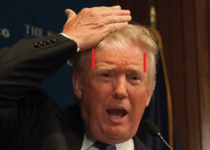 trump-hair-1_0.jpeg