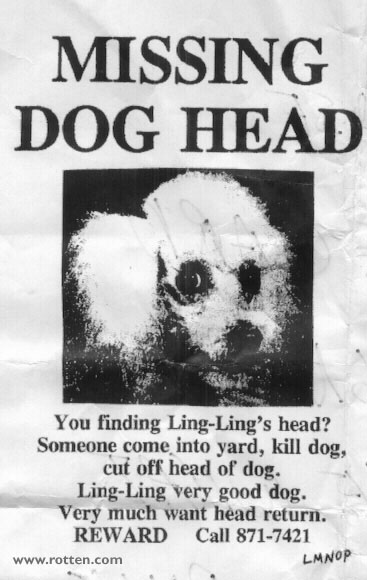 ling-ling-dog.jpg