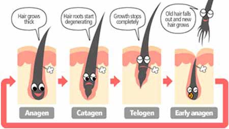 hair-growth3.jpg